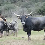 El Molino De Landhaus *