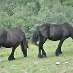 El Molino De Séjour à la campagne *