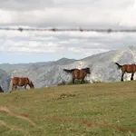 Séjour à la campagne El Molino De Cicera
