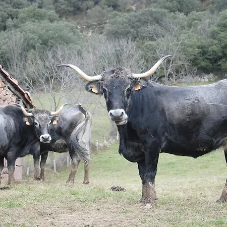 El Molino De 컨트리하우스 *