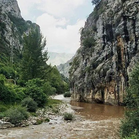El Molino De * Cicera