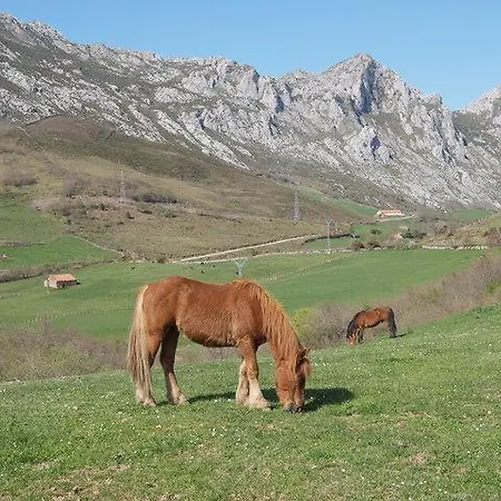 El Molino De Casa rural Cicera