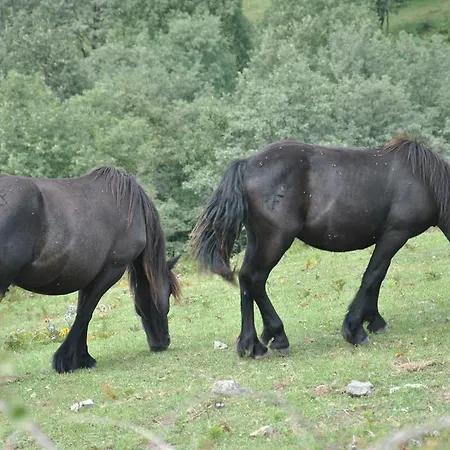 El Molino De Casa rural *