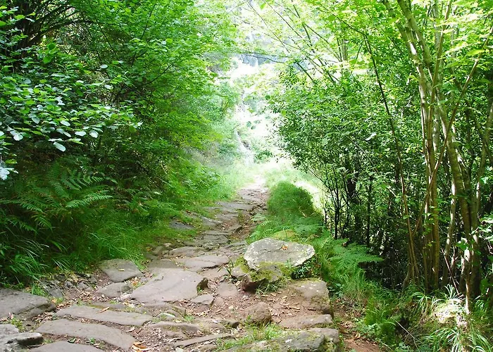 El Molino De 컨트리하우스 Cicera