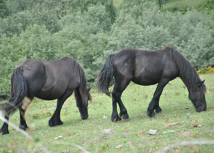 El Molino De منزل ريفي *