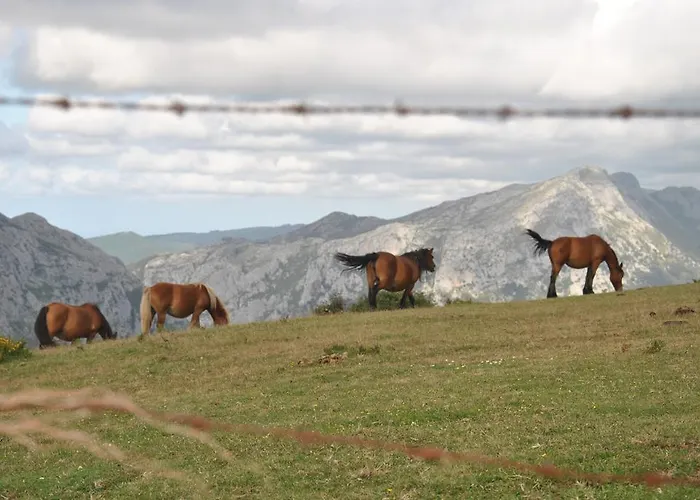 컨트리하우스 El Molino De Cicera